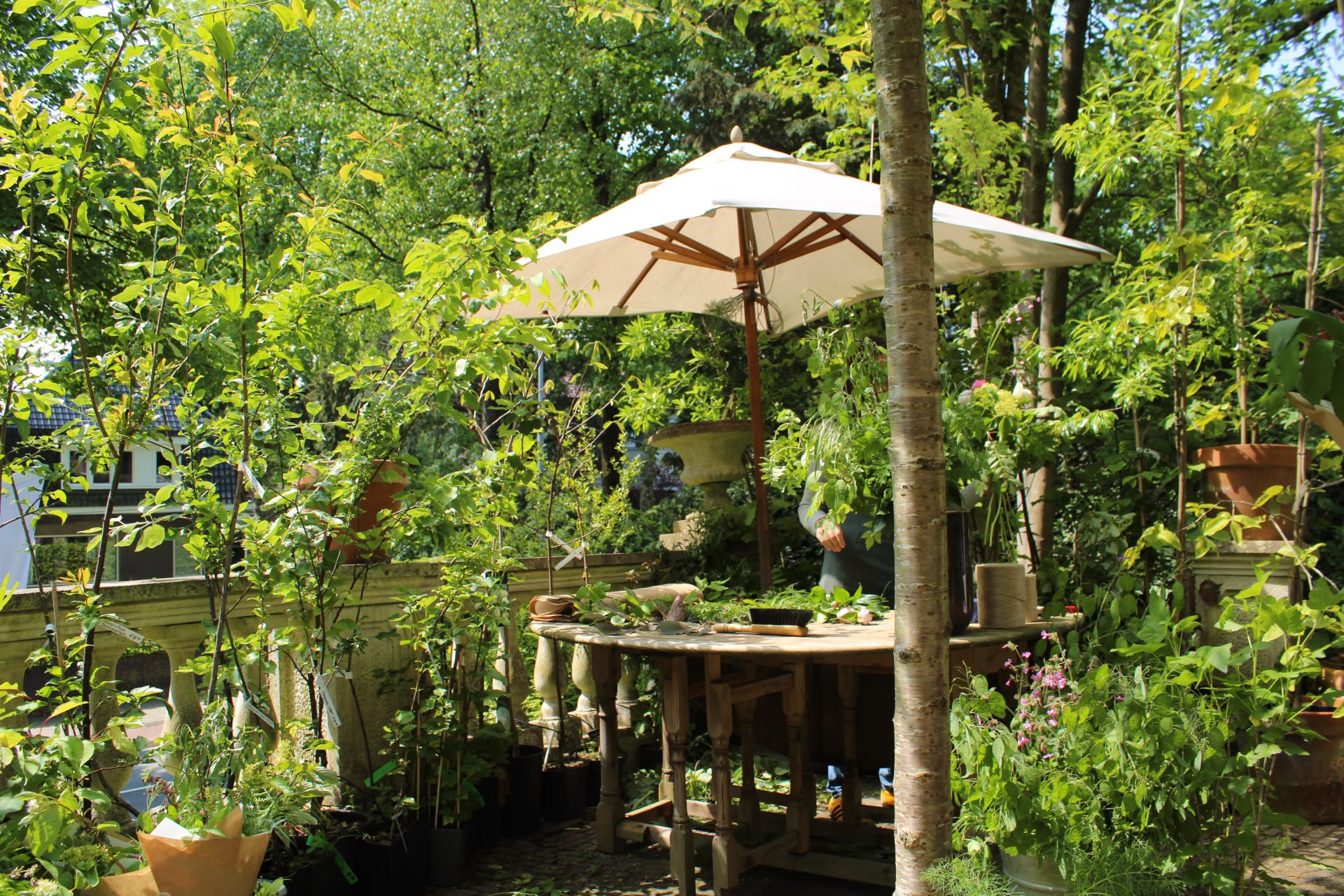 Het terras met eetbare planten en een parasol